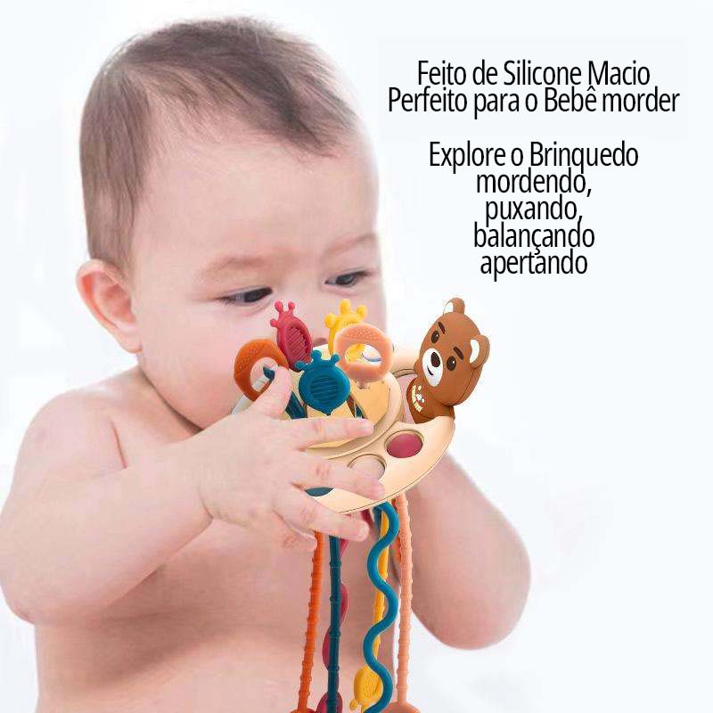 BRINQUEDO SENSORIAL MONTESSORI ANIMAIS